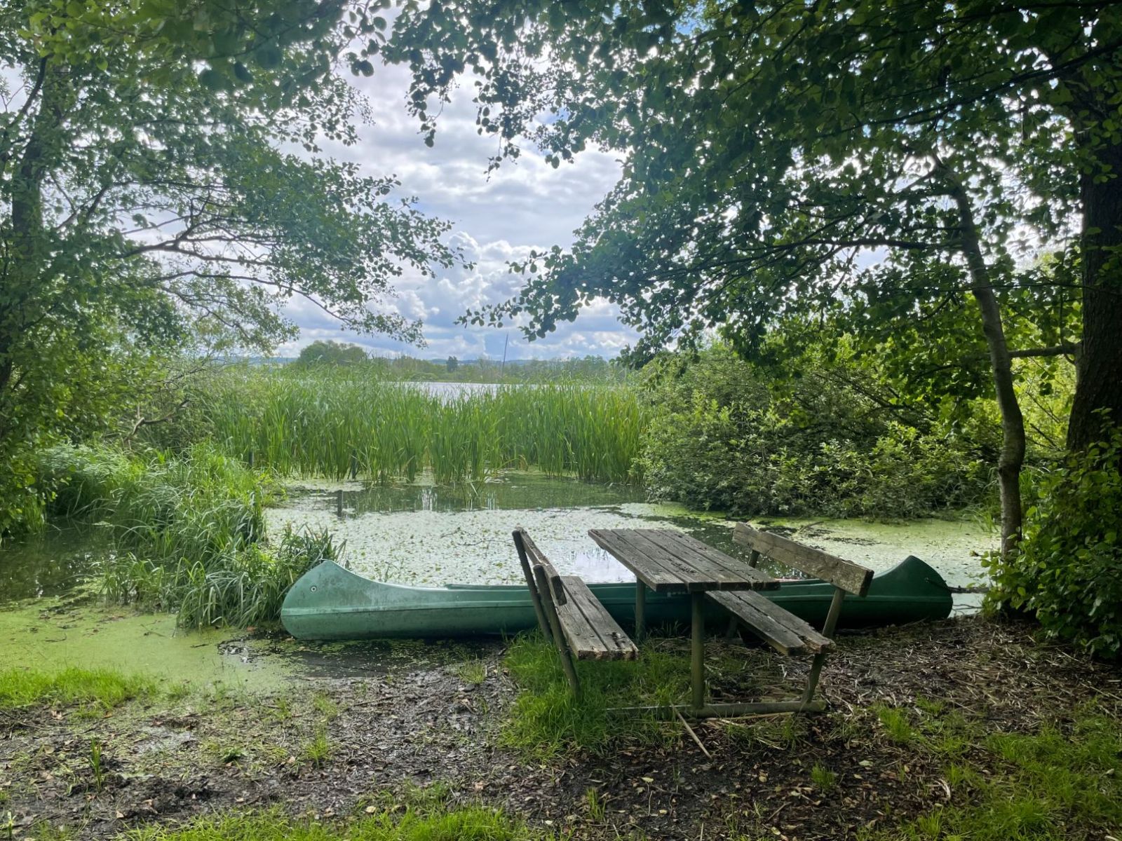 Dakbjerg