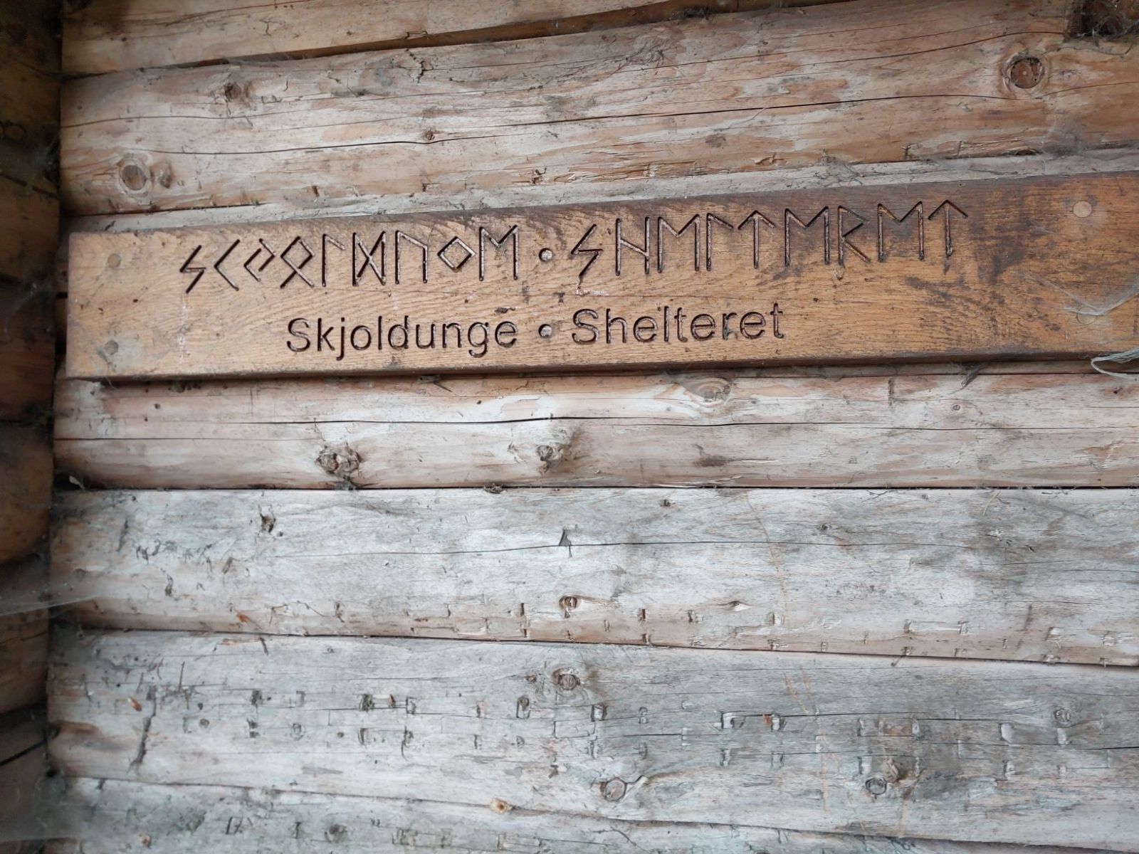 Skjoldunge shelteret, Boserup skov – miniature 6
