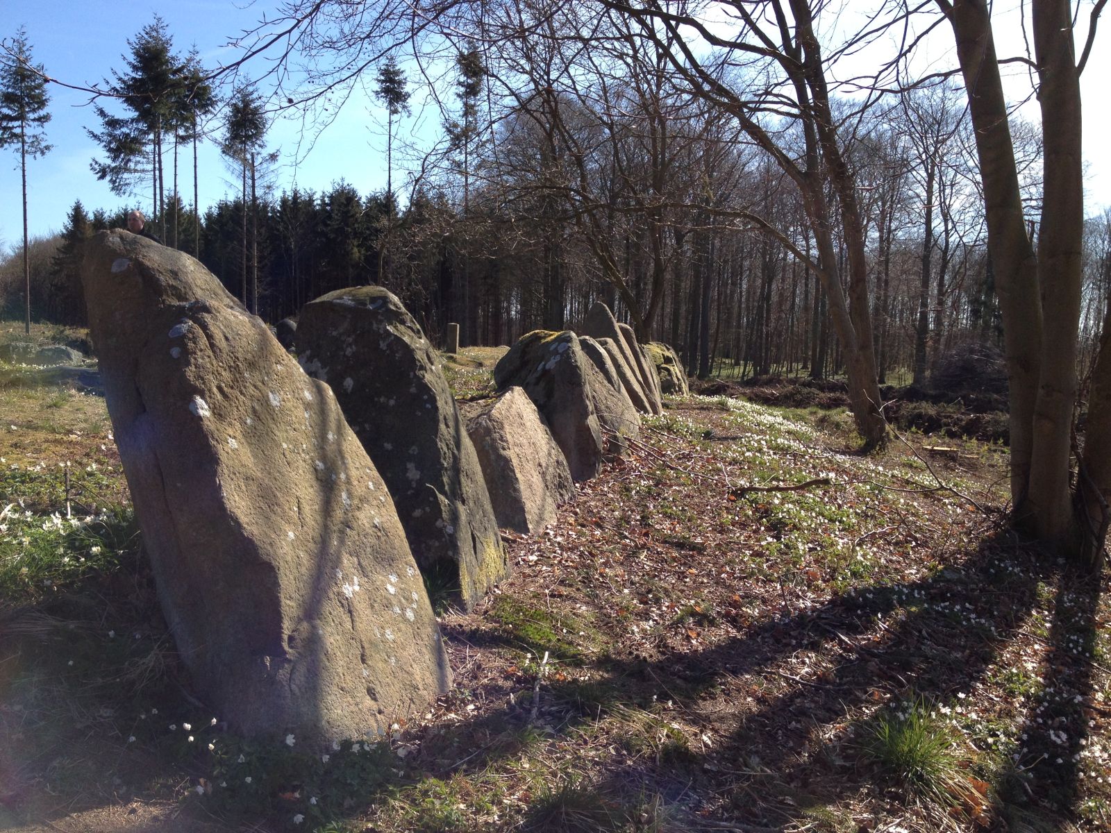 Langdysse