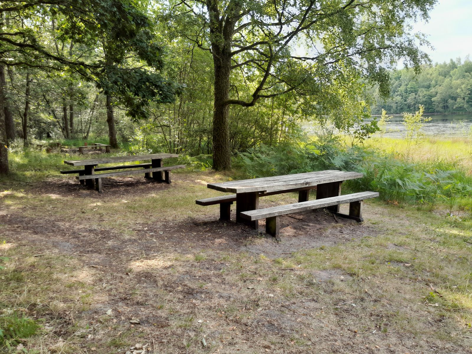 Borde og bænke