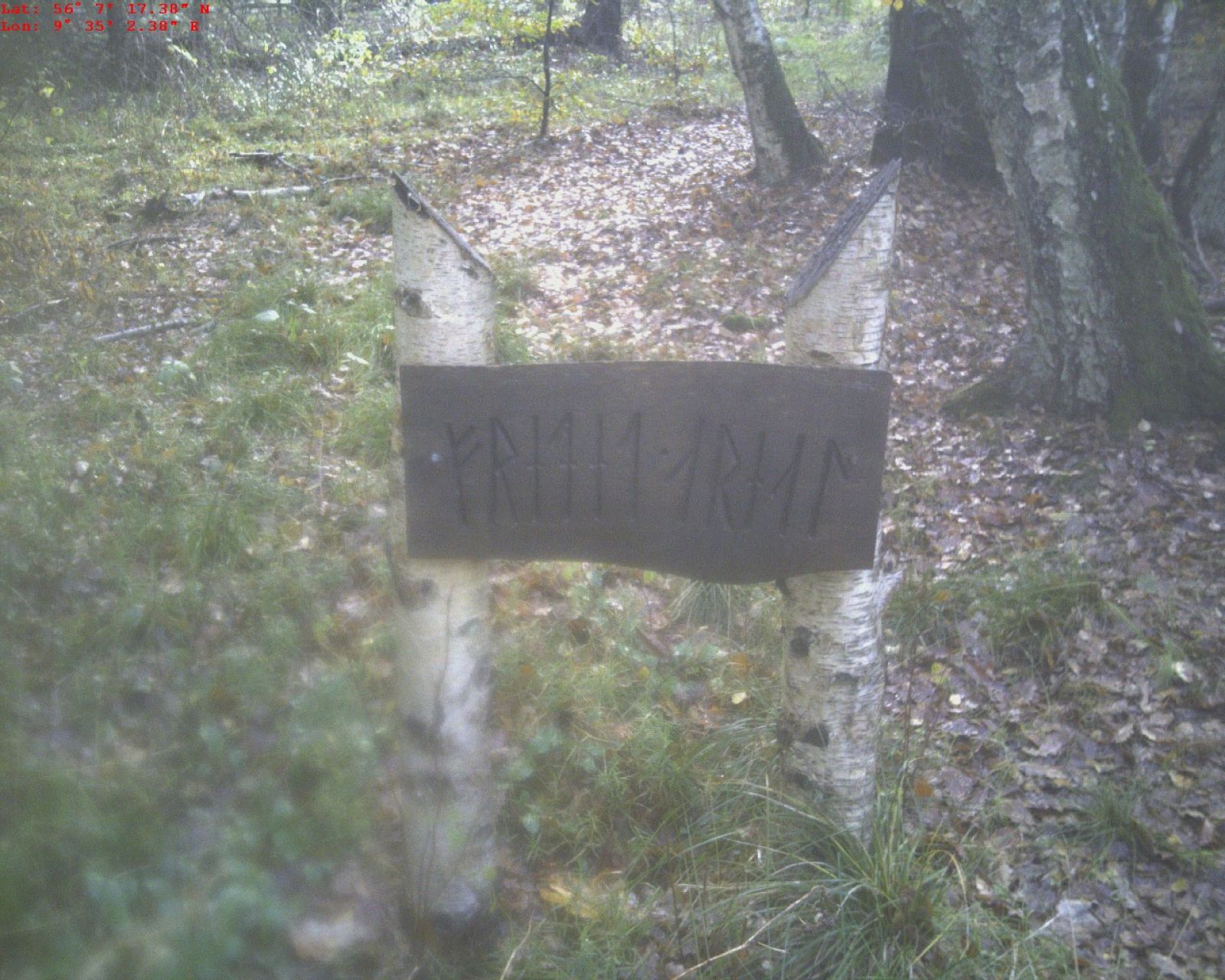 Foto fra Rødkær Enge