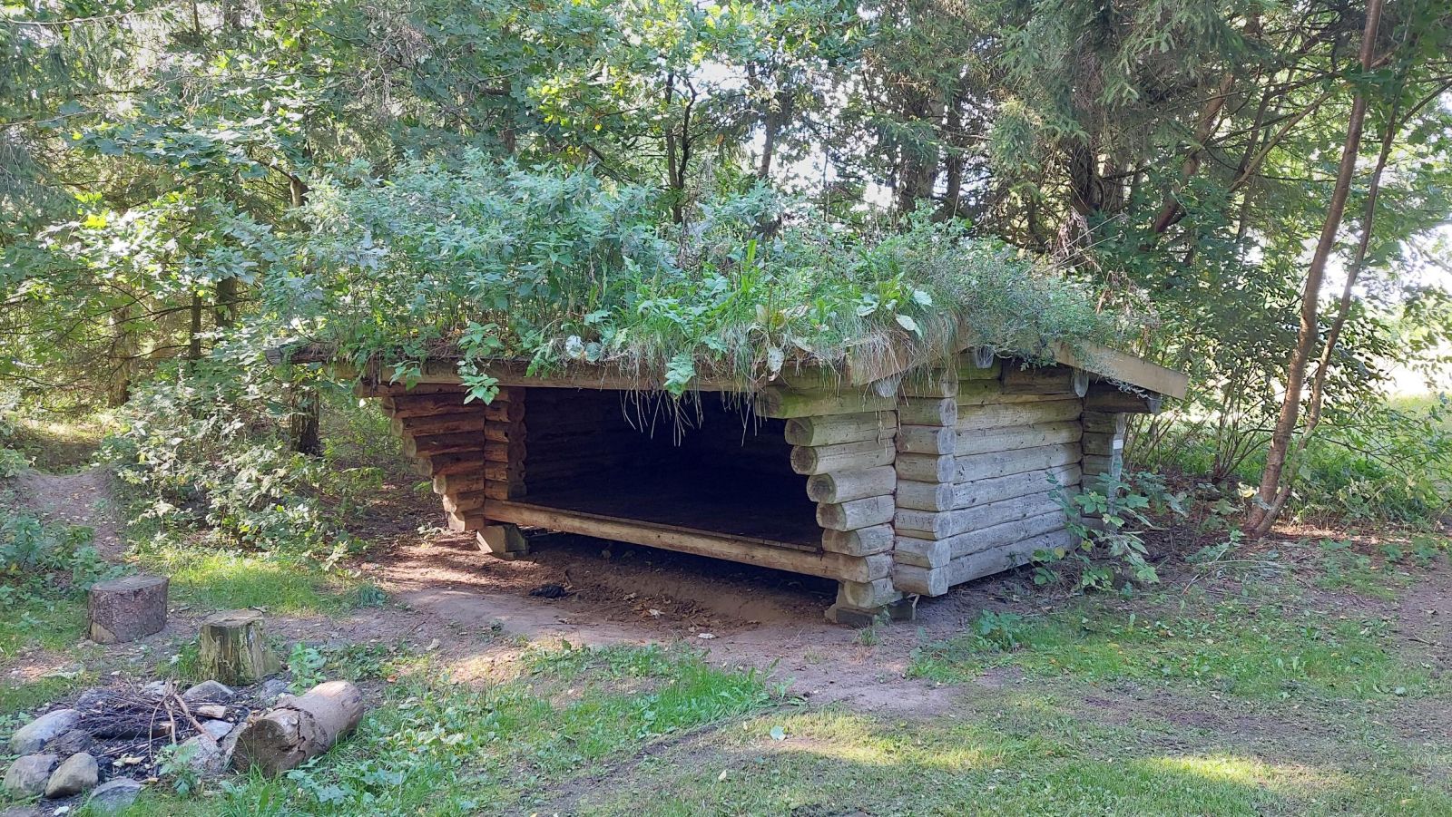 Shelter_2026