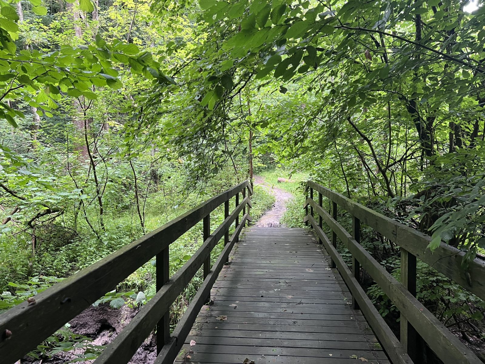 Bro henover Kirkedals Bækken med rækværk og krat på begge sider.