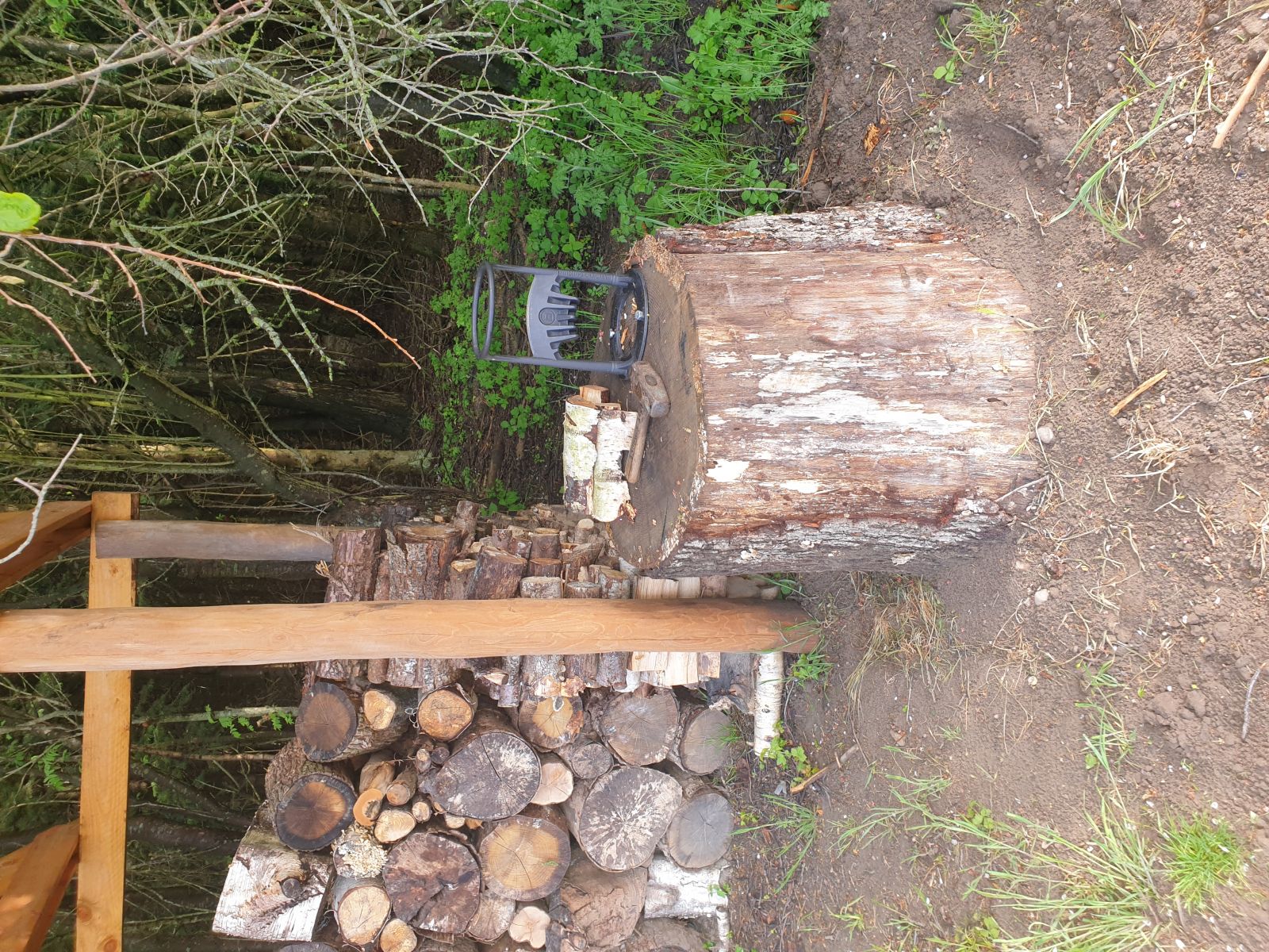 Naturplads i Bjæverskov – miniature 3