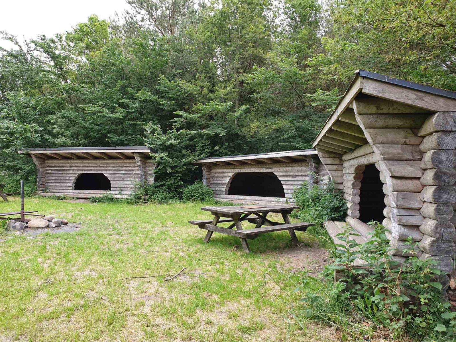 Havbjerg Skov, shelterplads – miniature 1