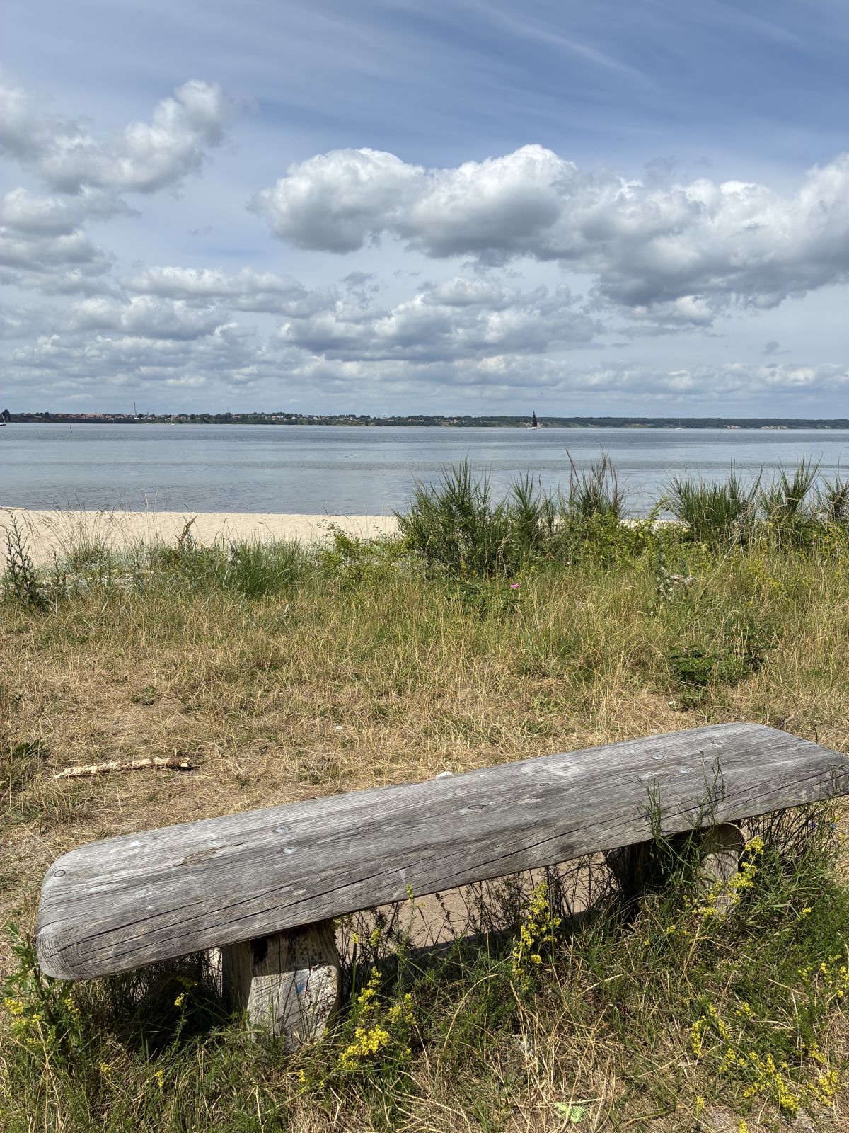 gammel bænk ved stranden