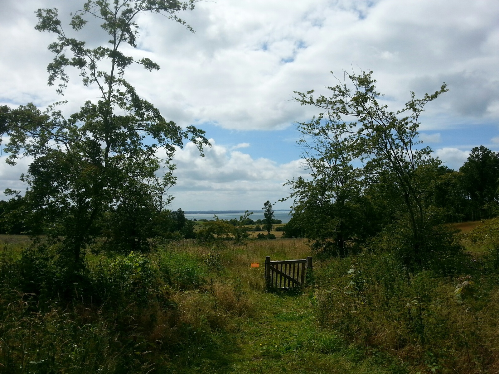 Kårup skov, shelter – miniature 2