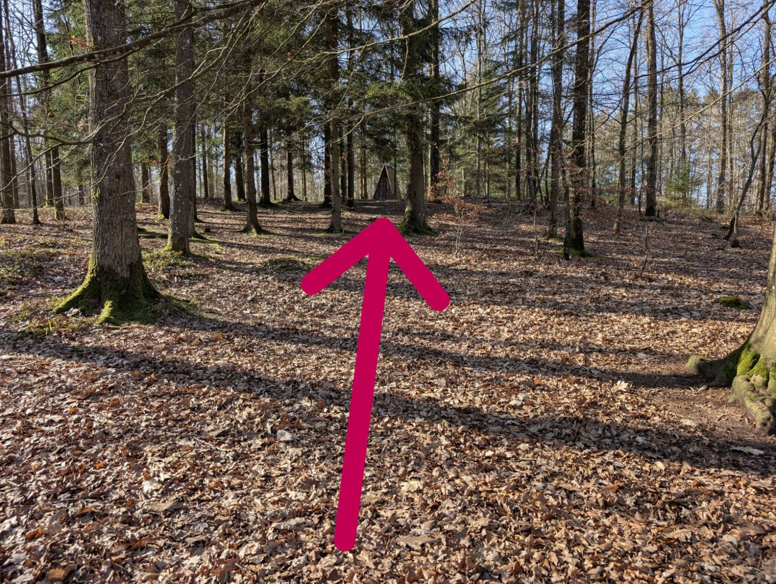 Placering af muldtoiletbag bålpladsen