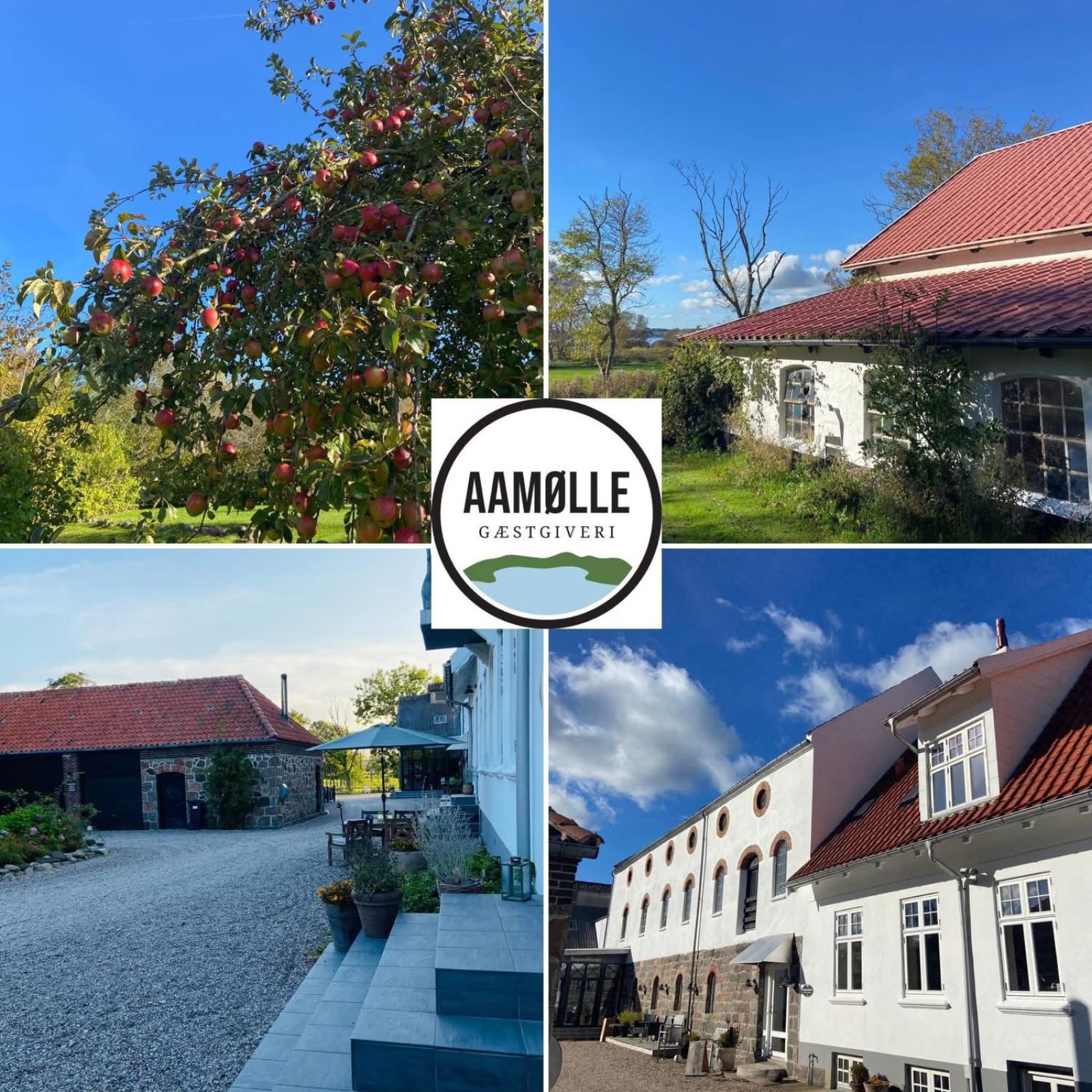 Billede opdelt i fire enkelte billeder. Billederne viser et æbletræ med modne æbler. En lav hvid bygning med sprossede vinduer og rødt tegltag. En gårdsplads med stentrappe og en længe i baggrunden. En hvid bygning i flere etager.