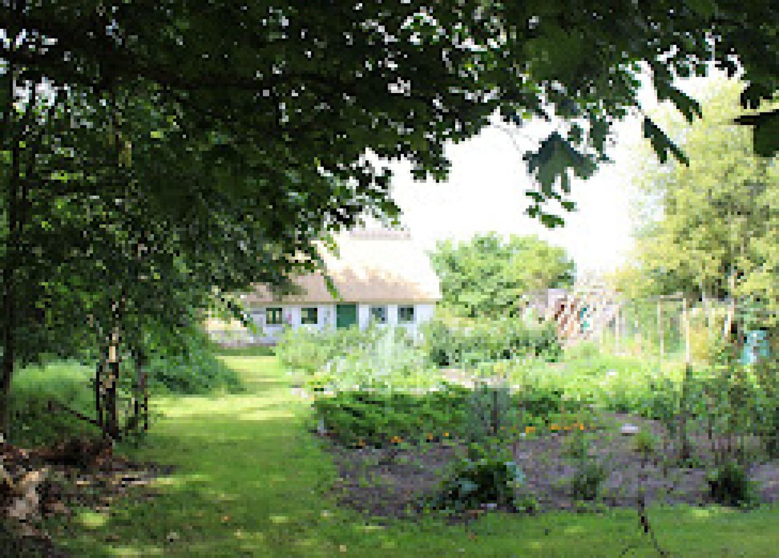 Haven på Foersumvej 1