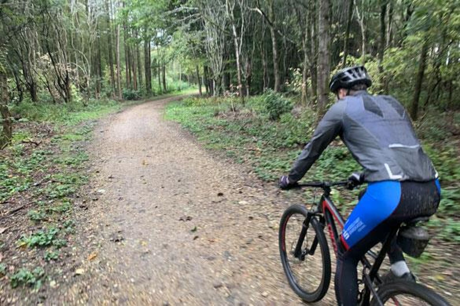 Mountainbike stien i Bramming