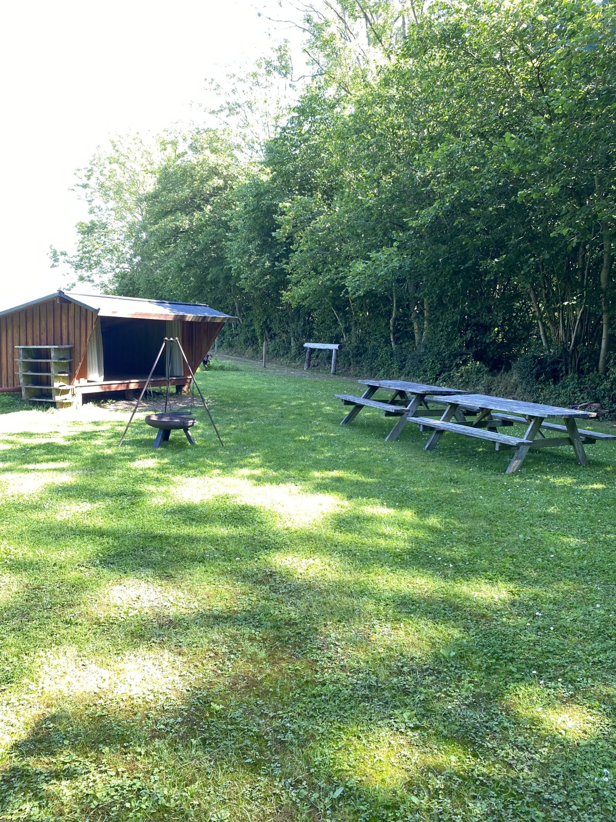 Grøn campingplads med træshelter, picnicbord, bålplads og træer i baggrunden på en solrig dag.