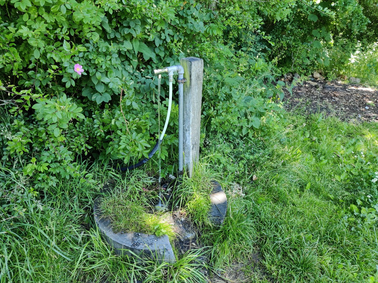 vandposten i kanten af pladsen er kun åben i sommerhalvåret