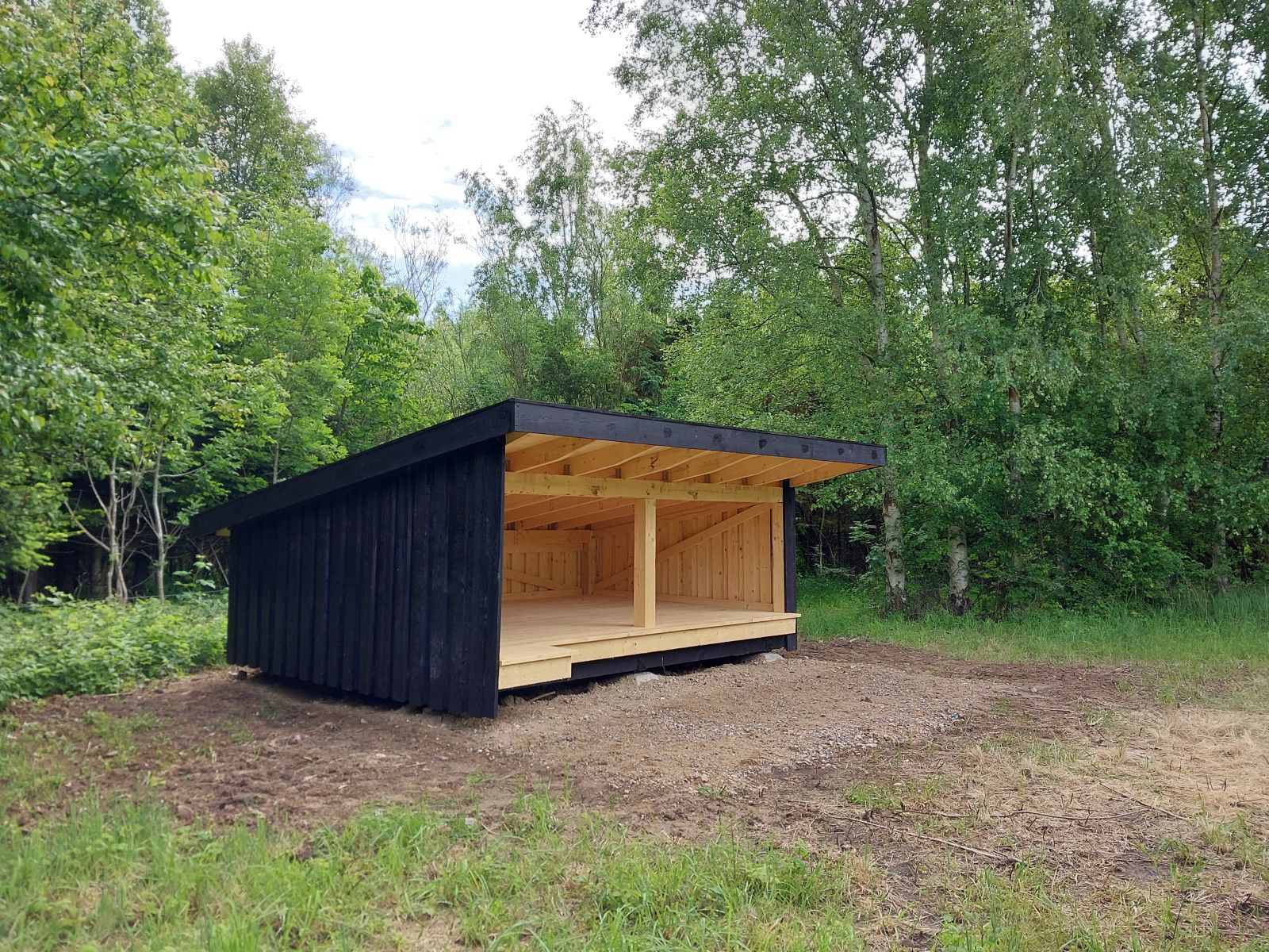 Shelter og træer og buske