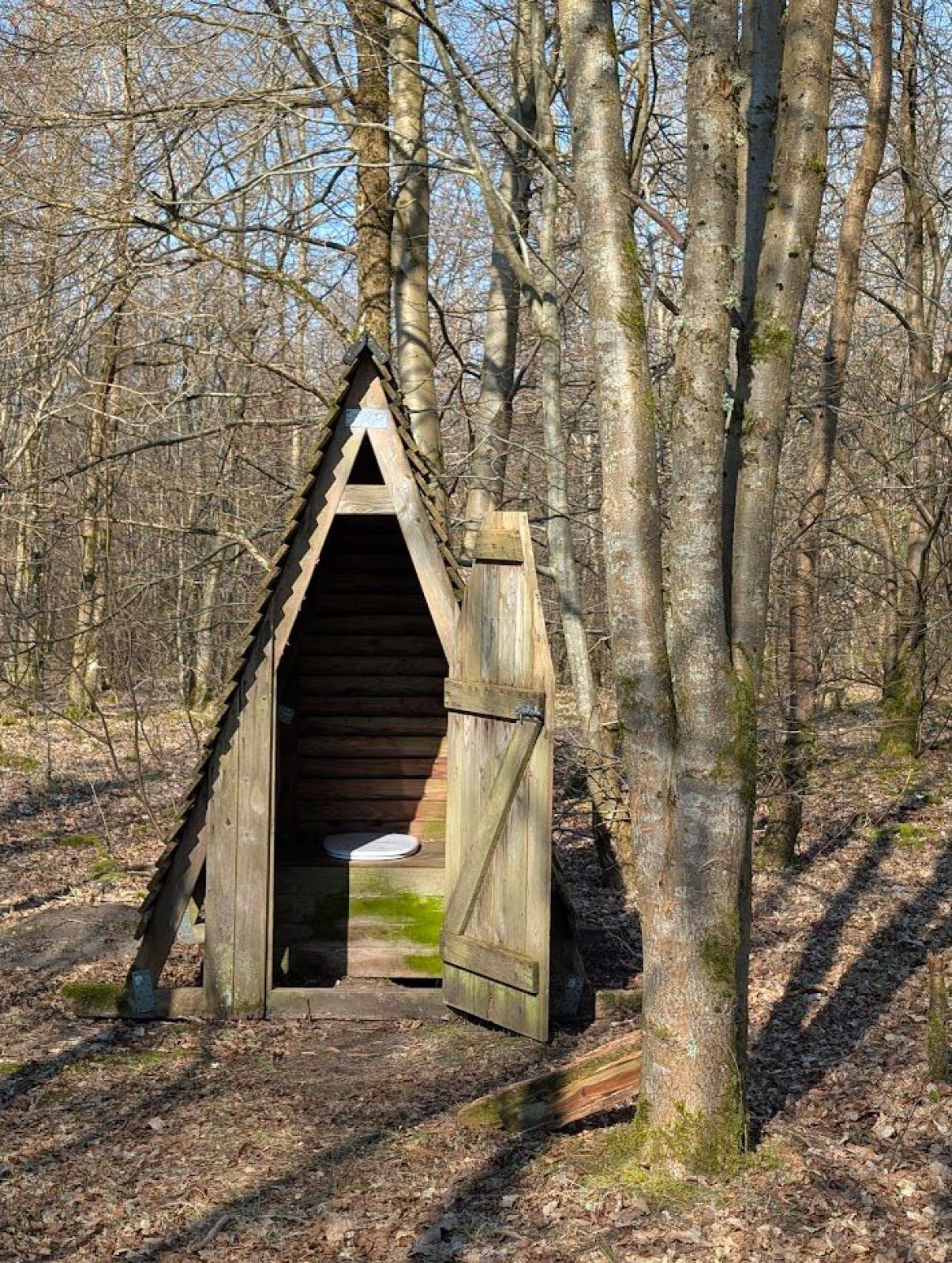 Muldtoilet interiør