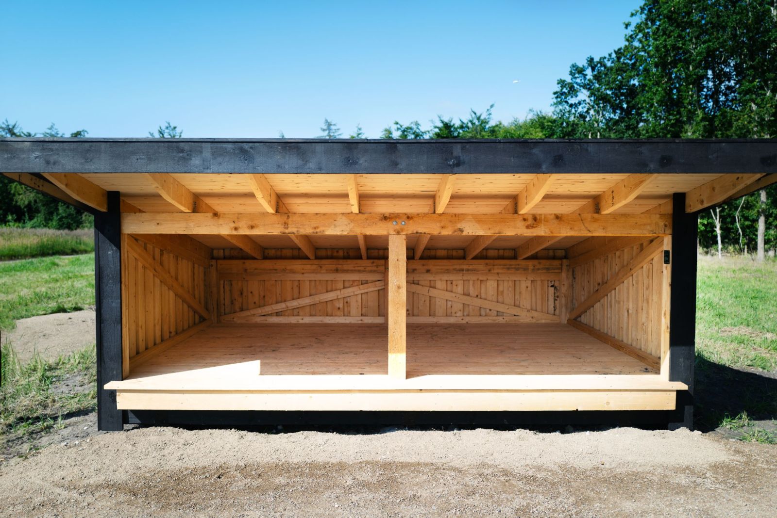 Shelter