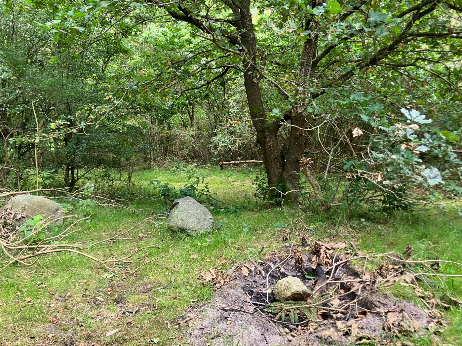 Shelter ved Salling Natursti – miniature 3