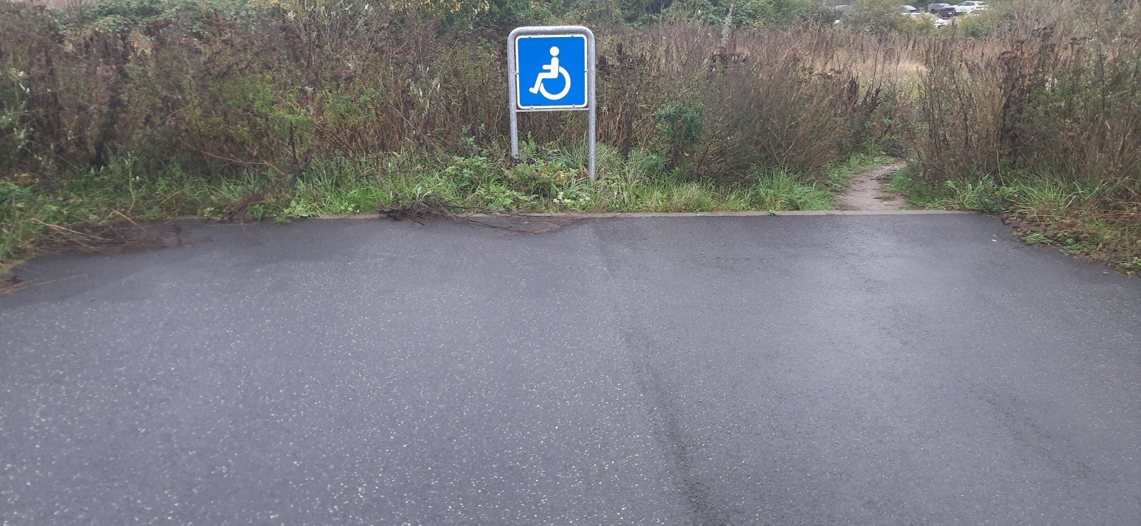 Handicap parkering med asfalt