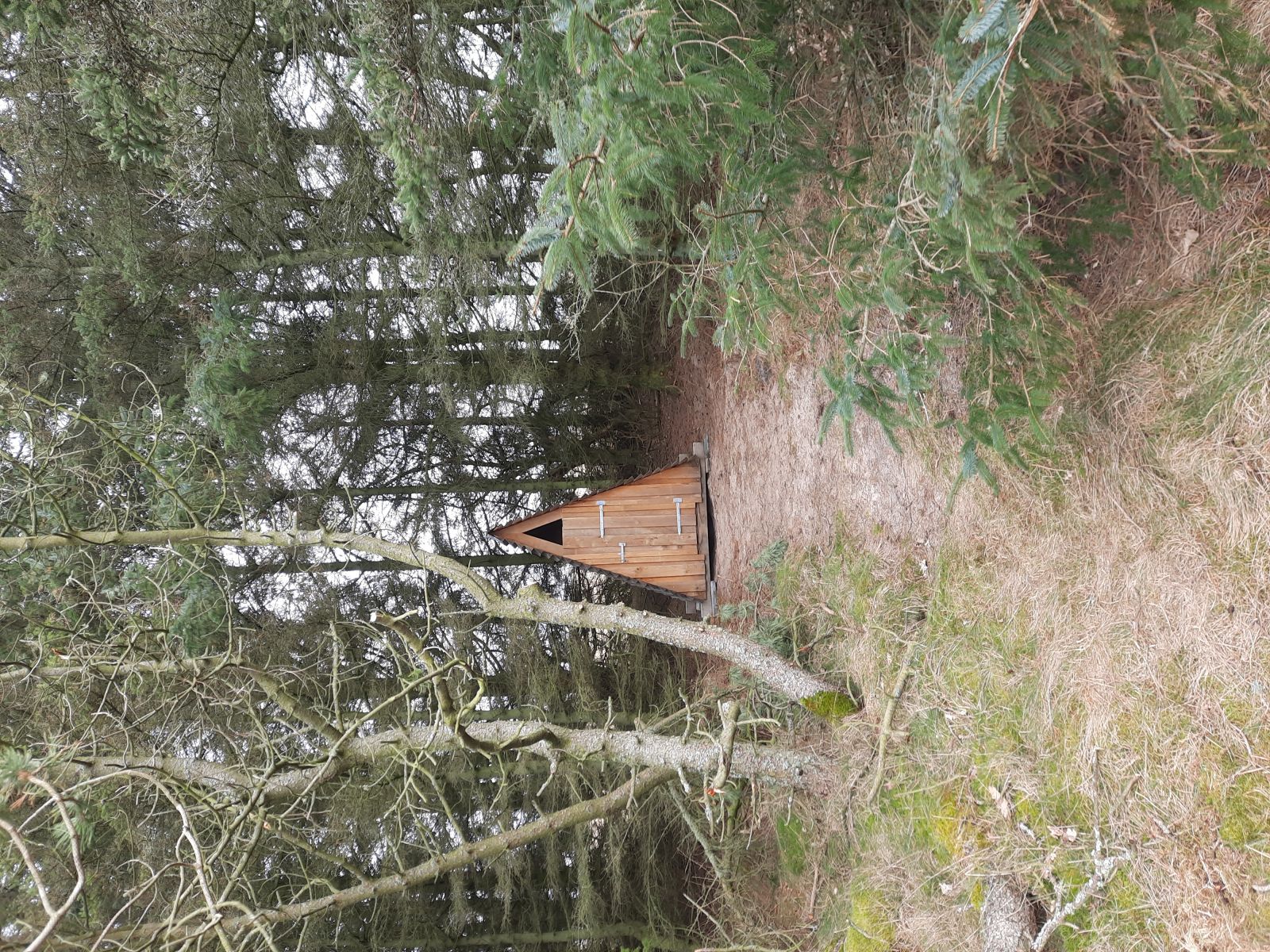 Krægpøt – miniature 2