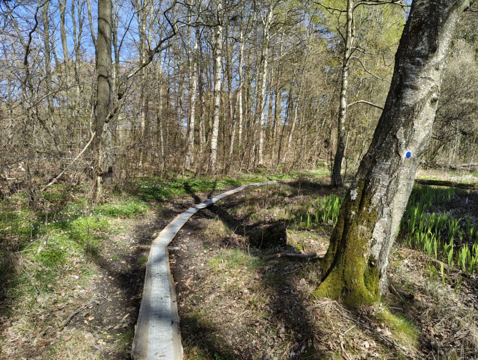 Spang over vådt område.