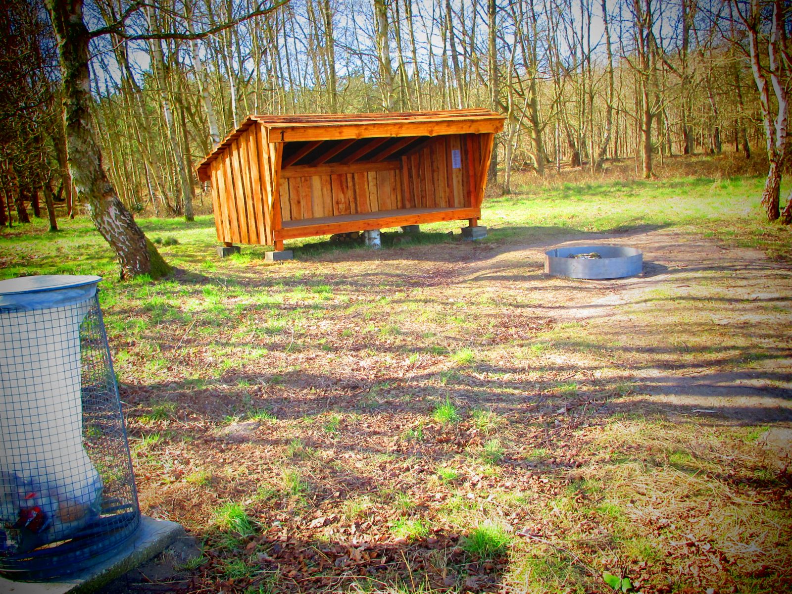 Mindelundens shelterplads – miniature 2