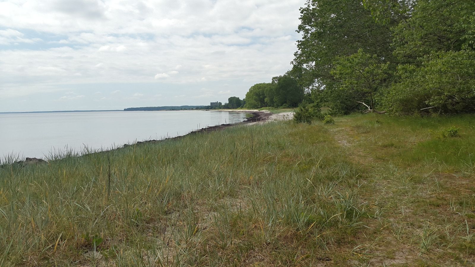 Stranden ved Sibirien