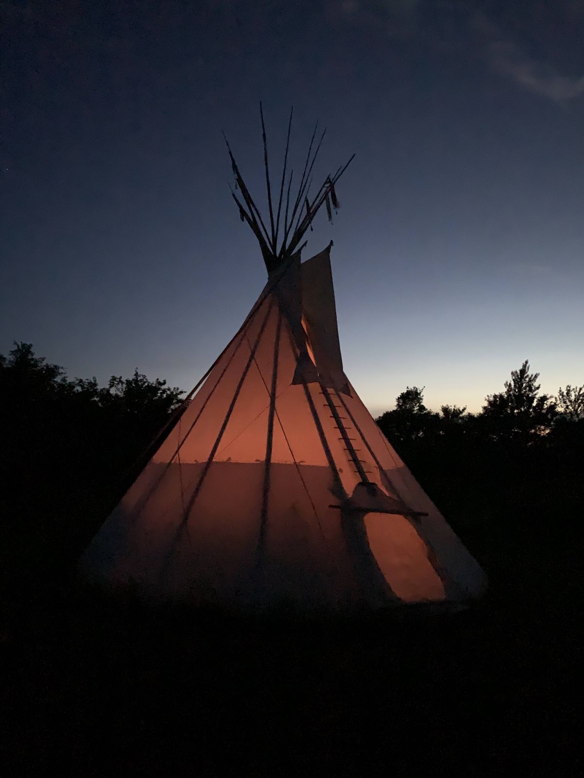 Tipi og shelters i frugtplantagen – miniature 6