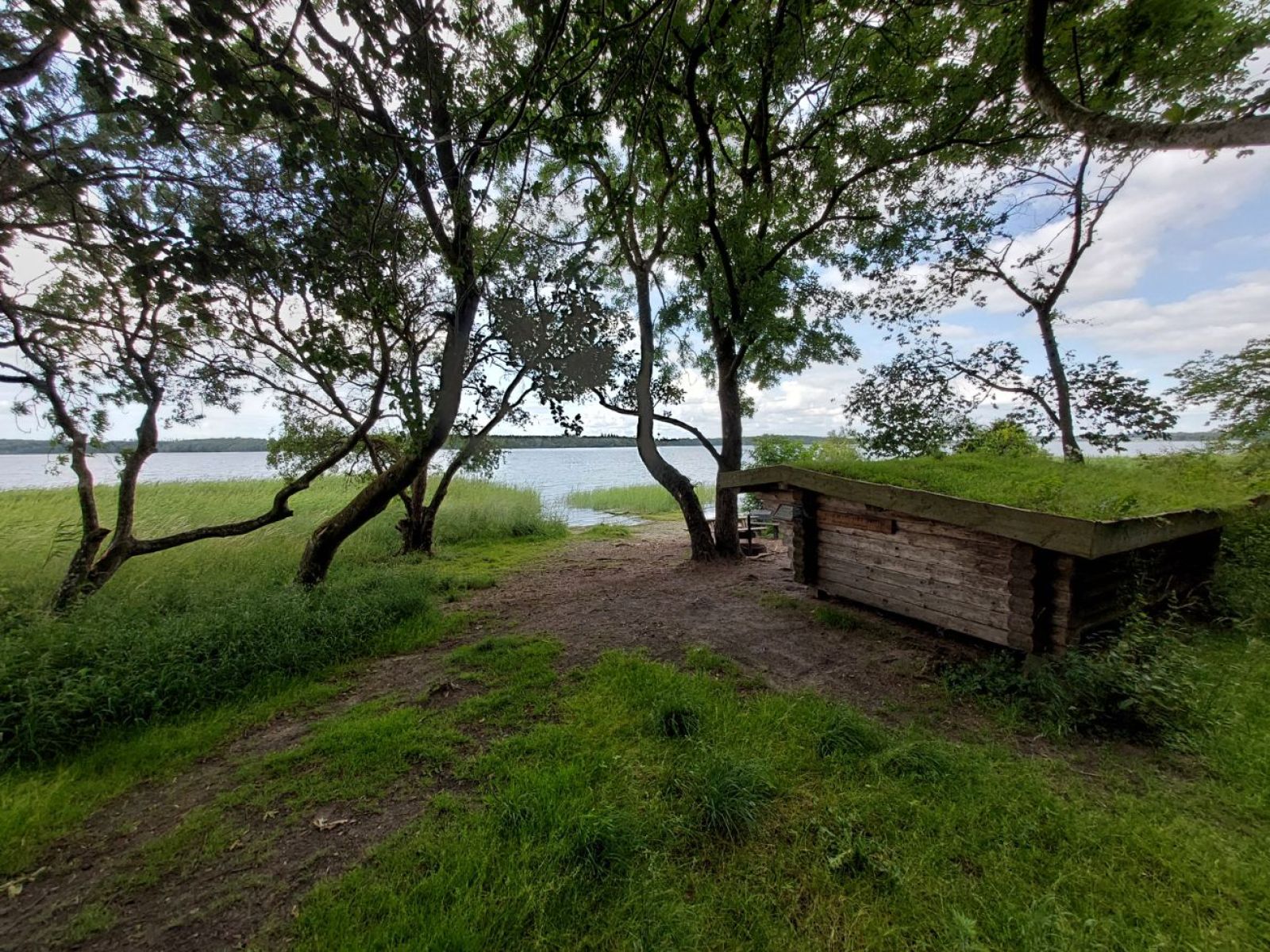 Skjoldunge shelteret, Boserup skov – miniature 1