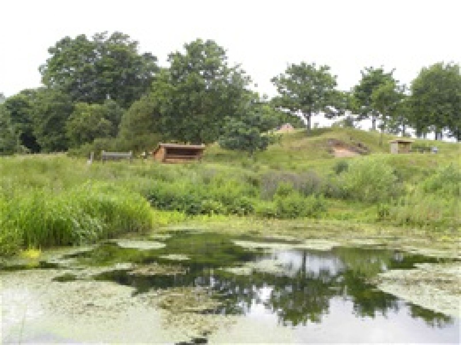 Arnborg Hjemstavnshus – miniature 3