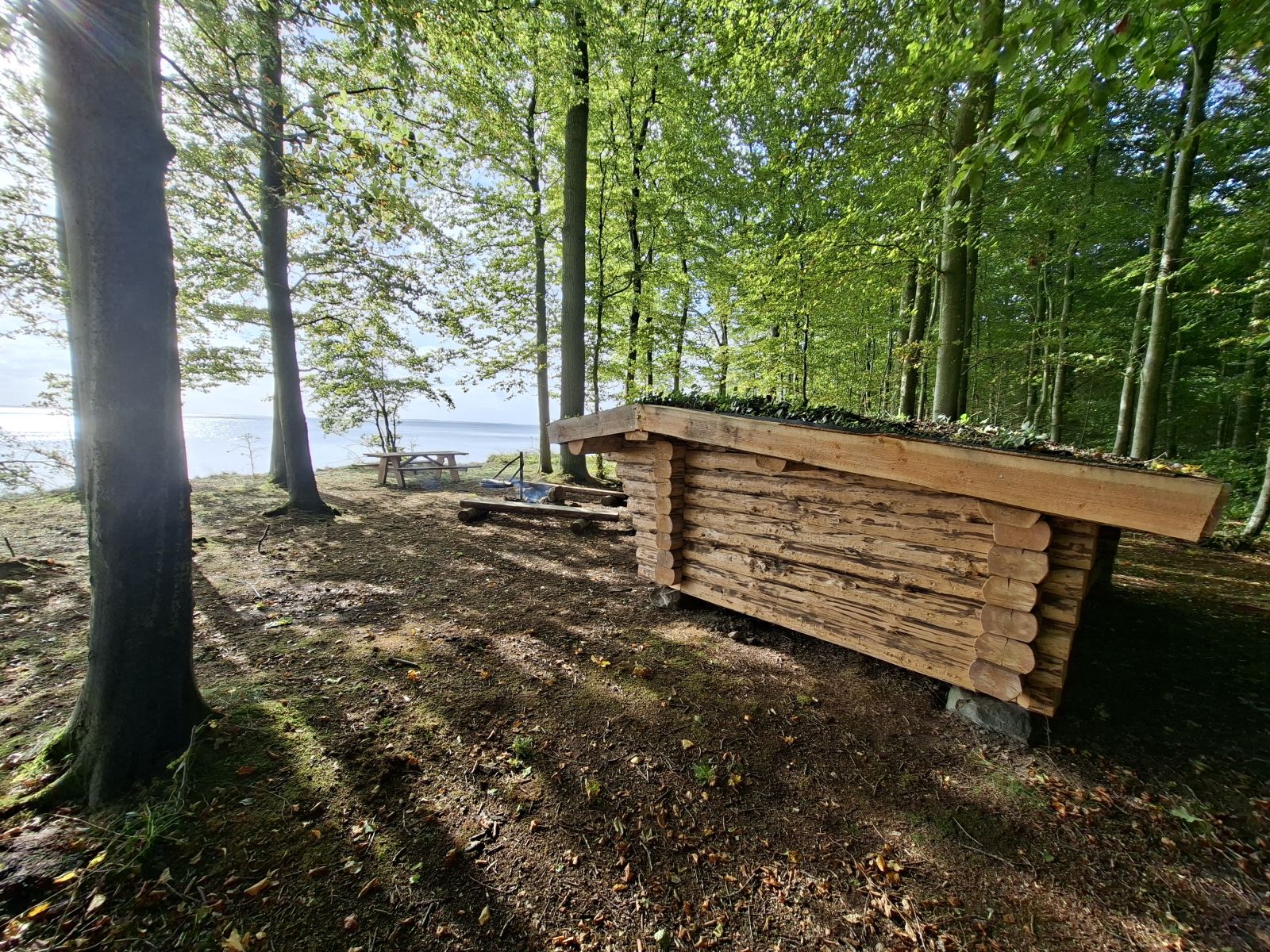 shelter 2