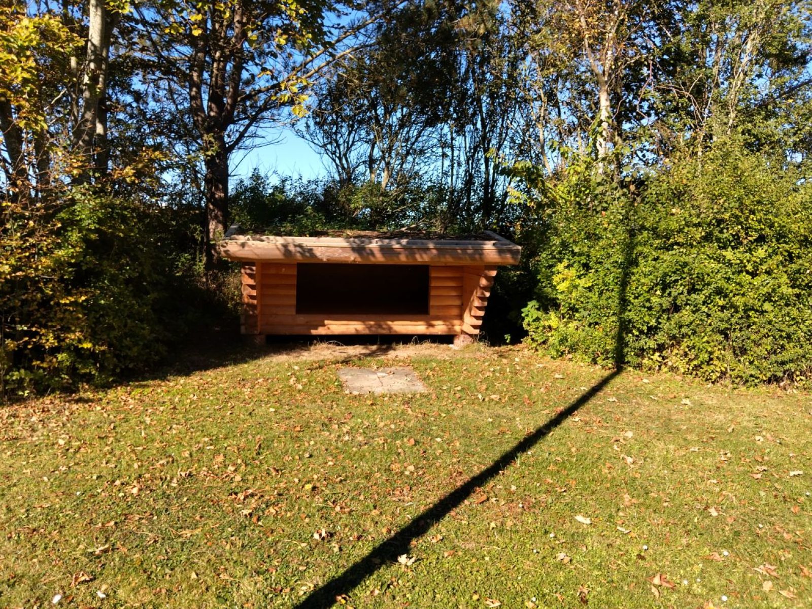 lille shelter