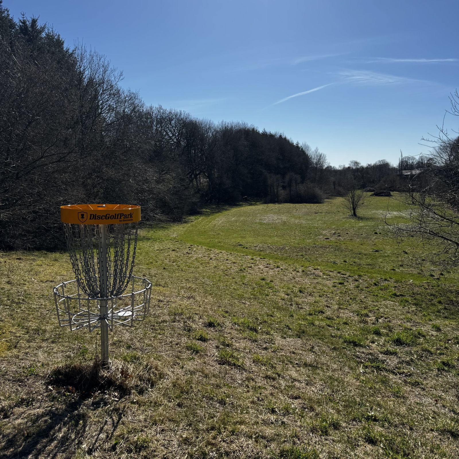 Diskgolf