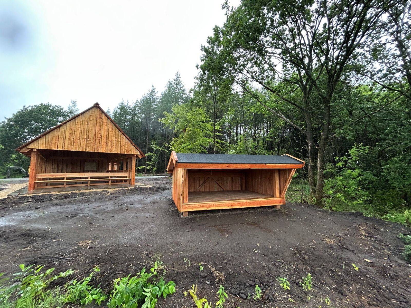 Bålhytte og shelter