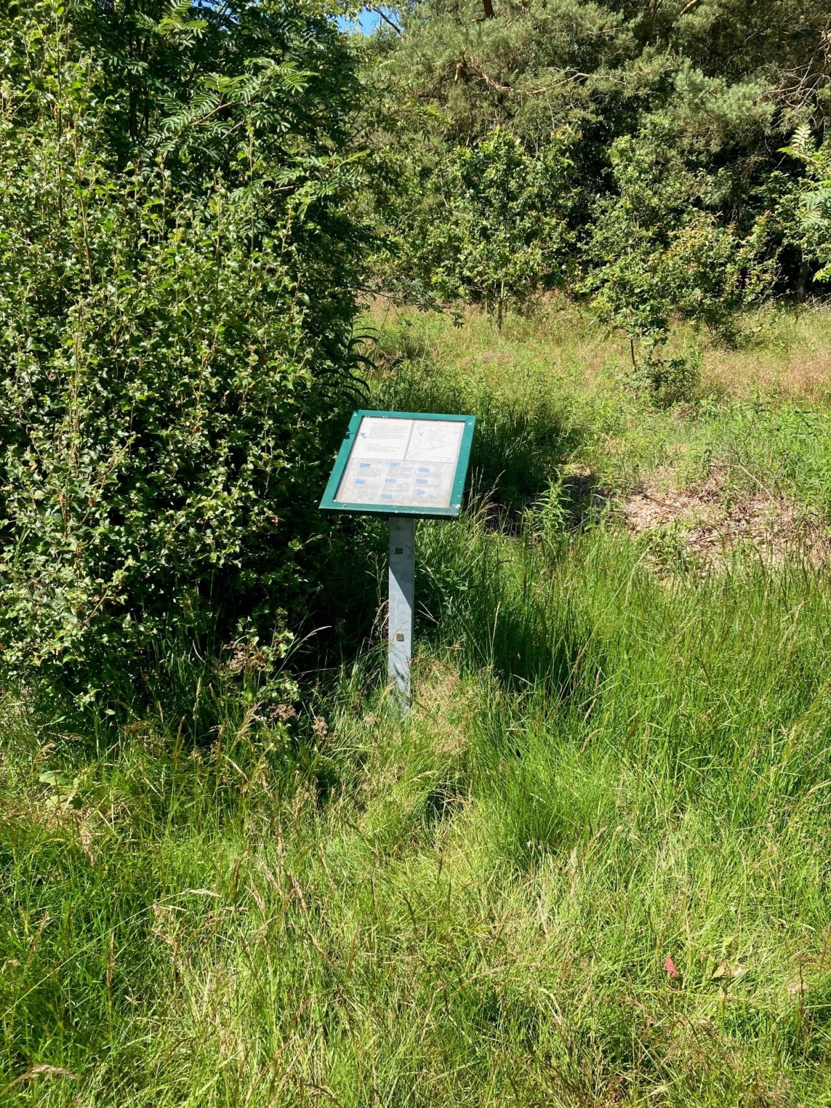 I området er der en infotavle, som fortæller om områdets historie. 