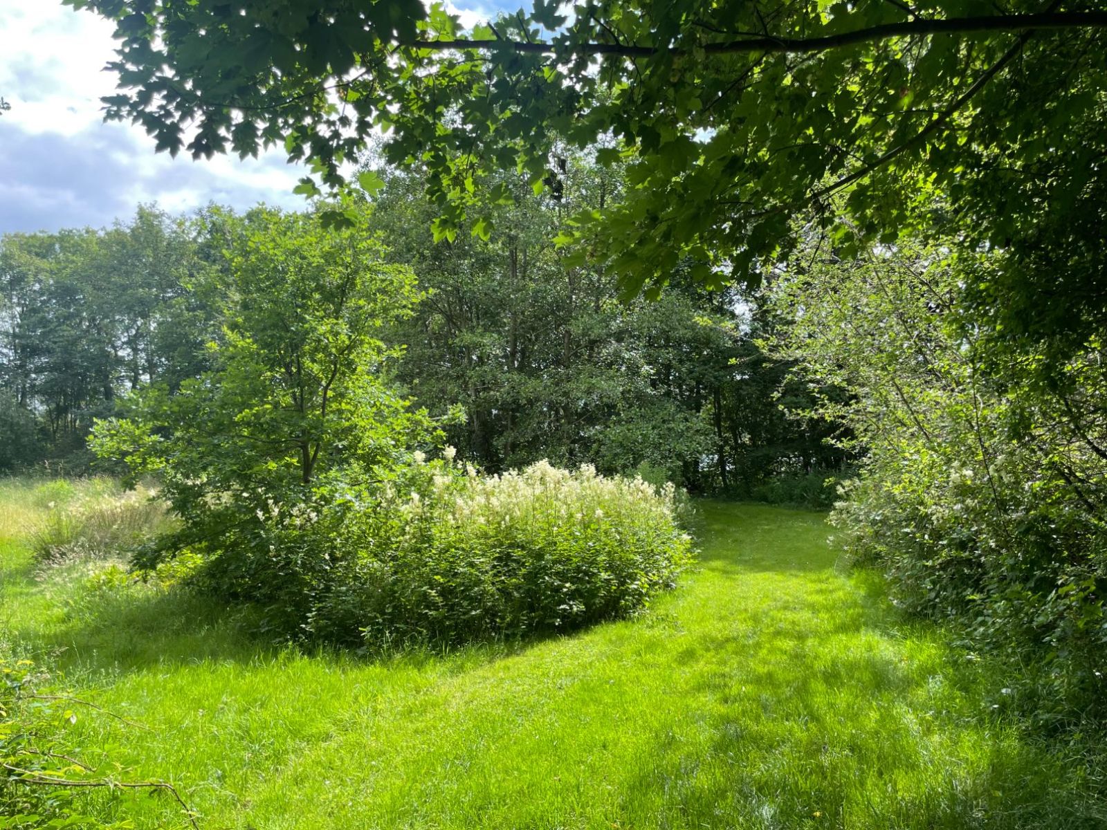 Dakbjerg