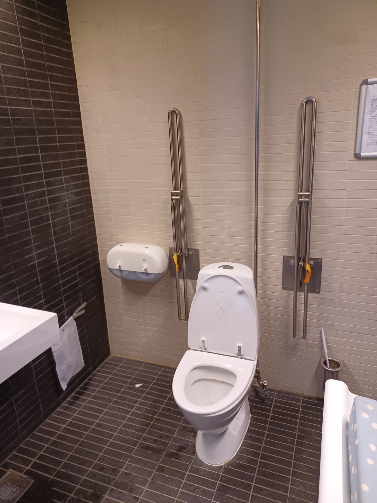 Toilet med rindende vand og armstøtter