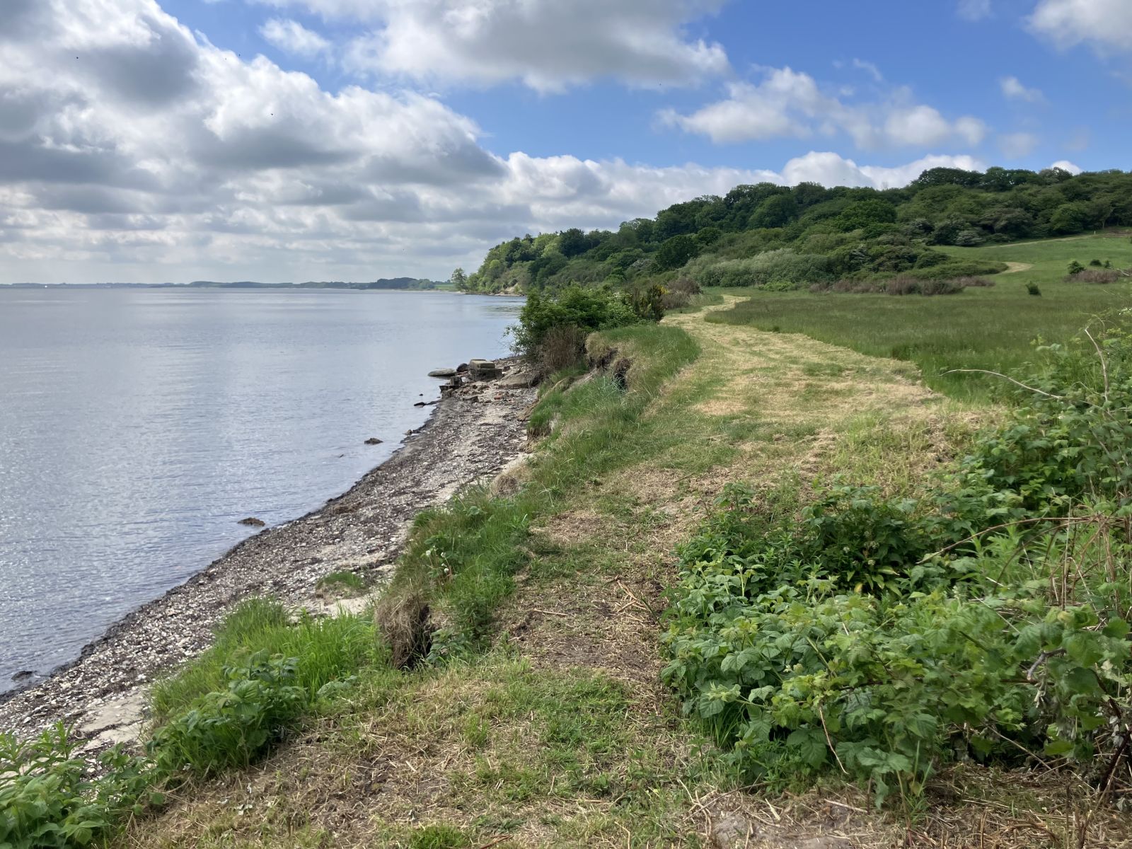 vandresti ved Eskov Strandpark