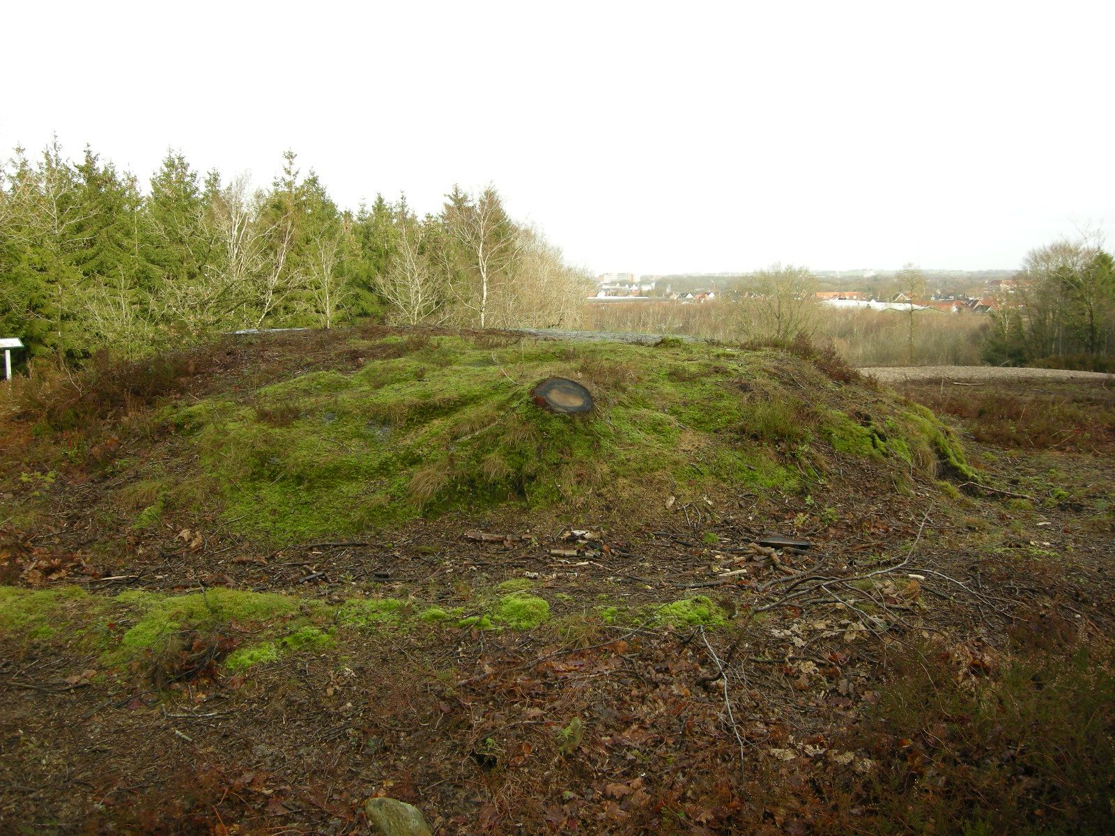 Galgehøjen i Vestre Plantage