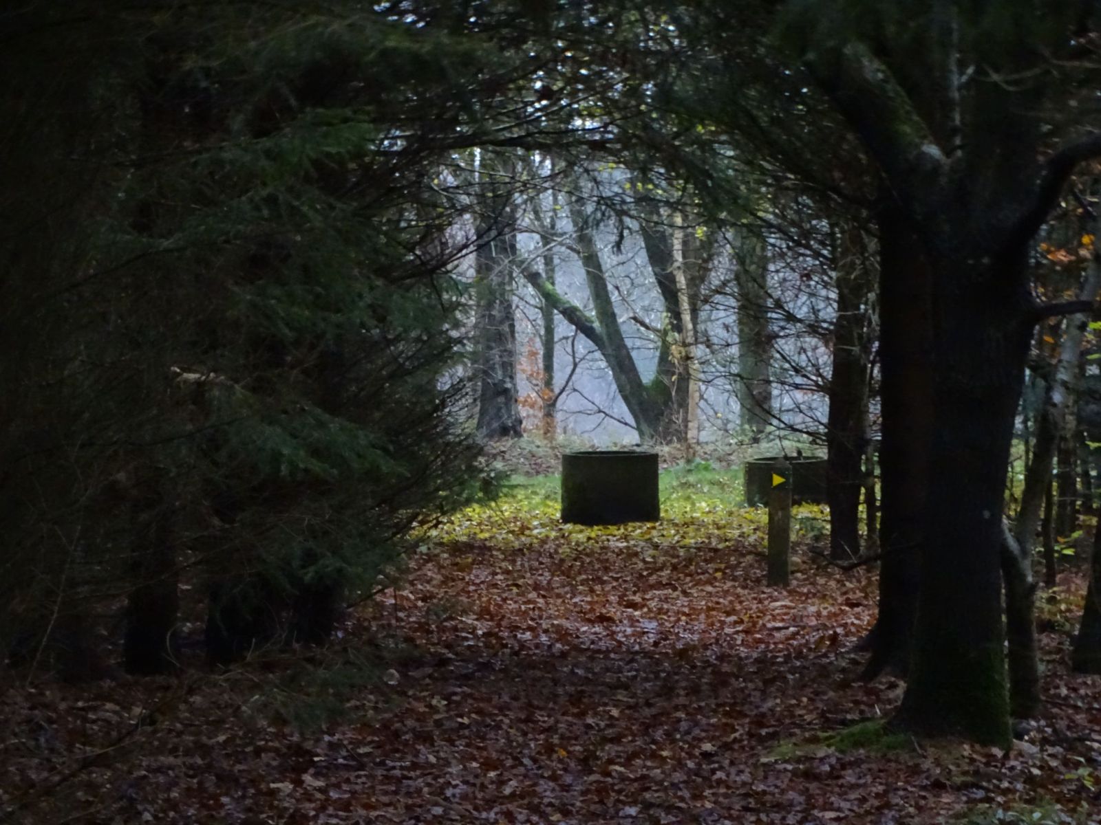Trædestenen v. Sig Kapelbanke, shelter 1 – miniature 2