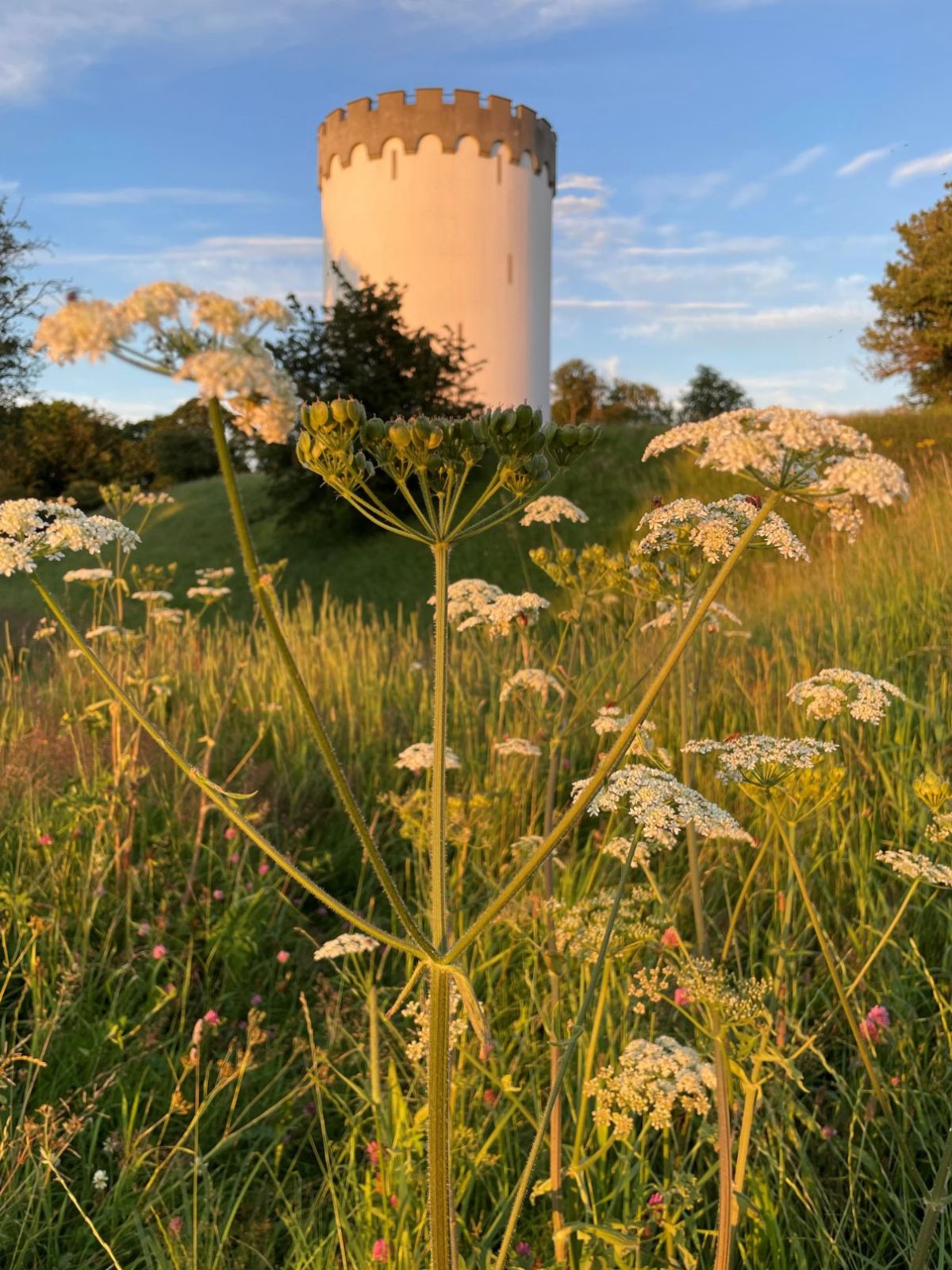 Vandtårn med blomster
