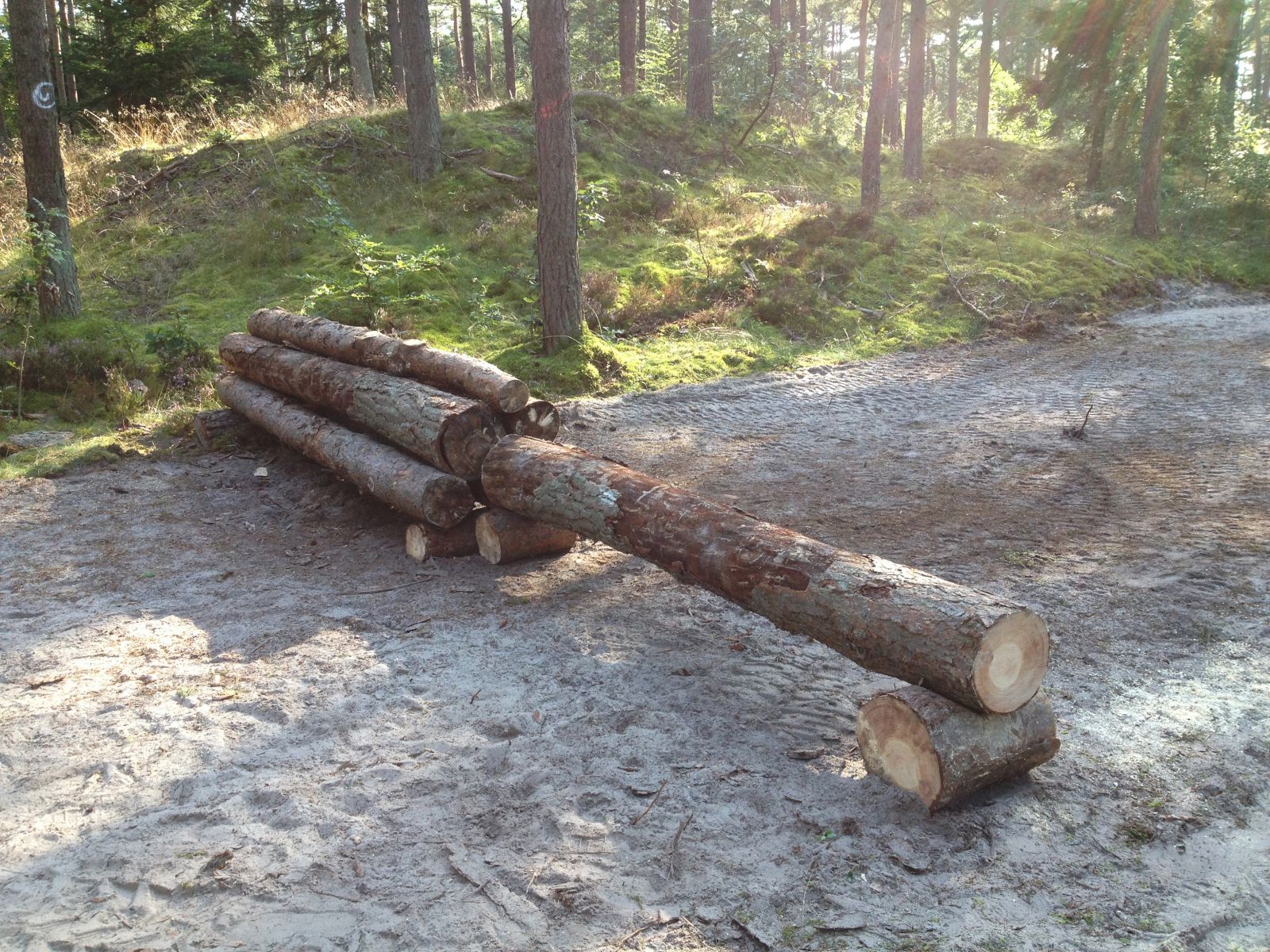 Spring på riderute