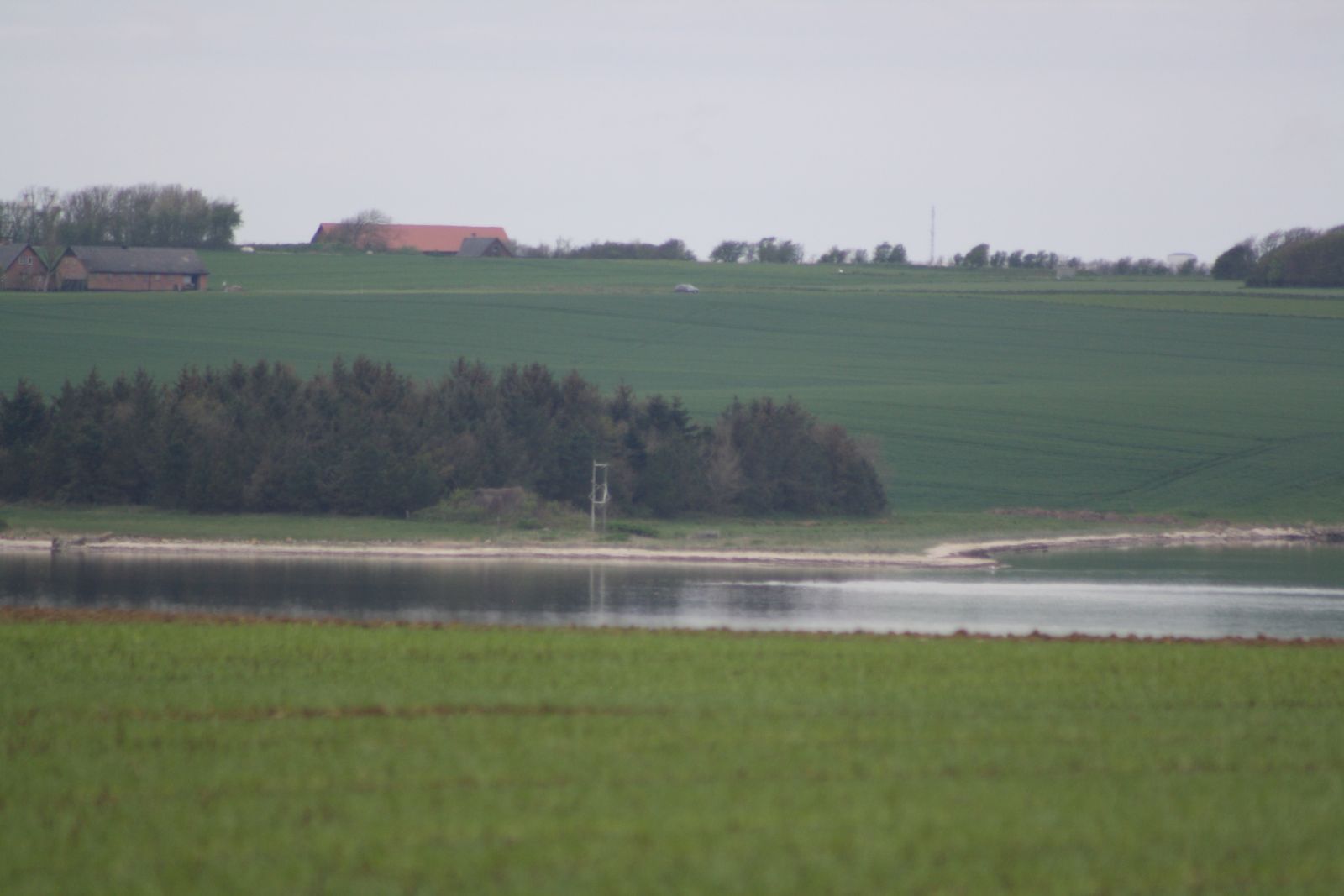 Plethøj ruten