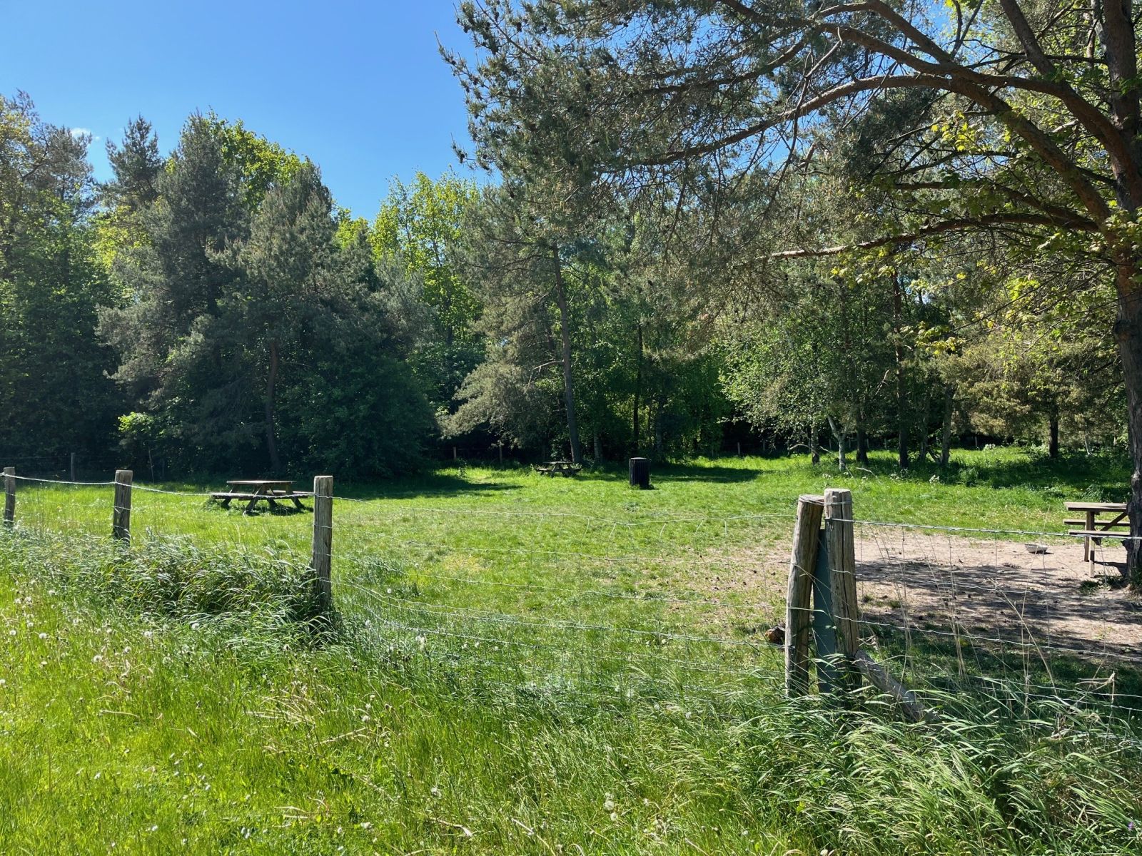 Hundeluftergård med borde-bænke
