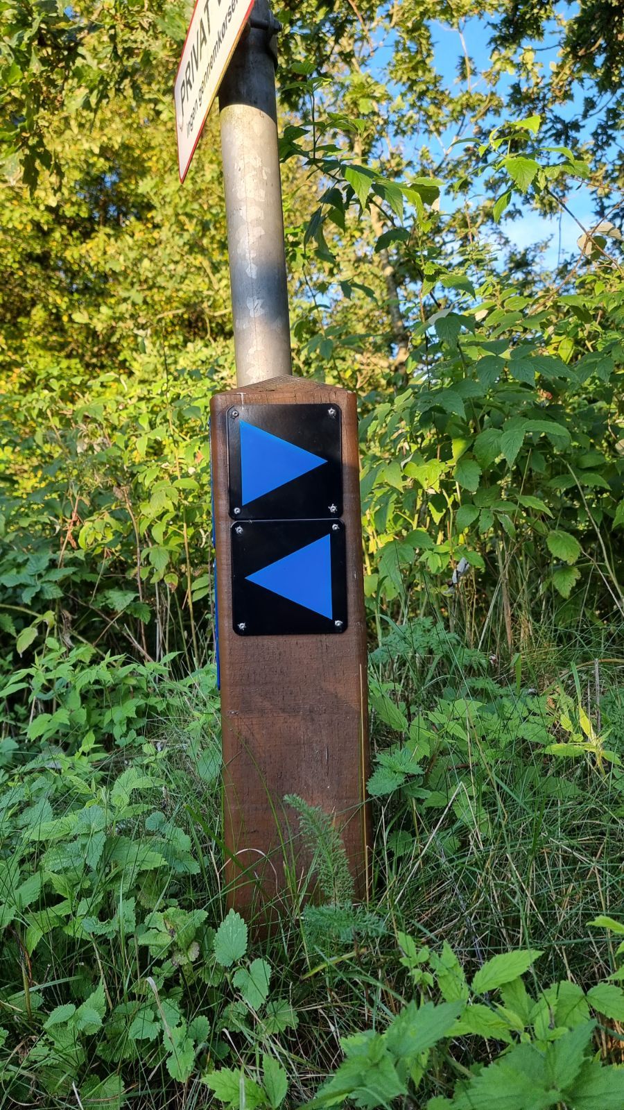 Blå rute