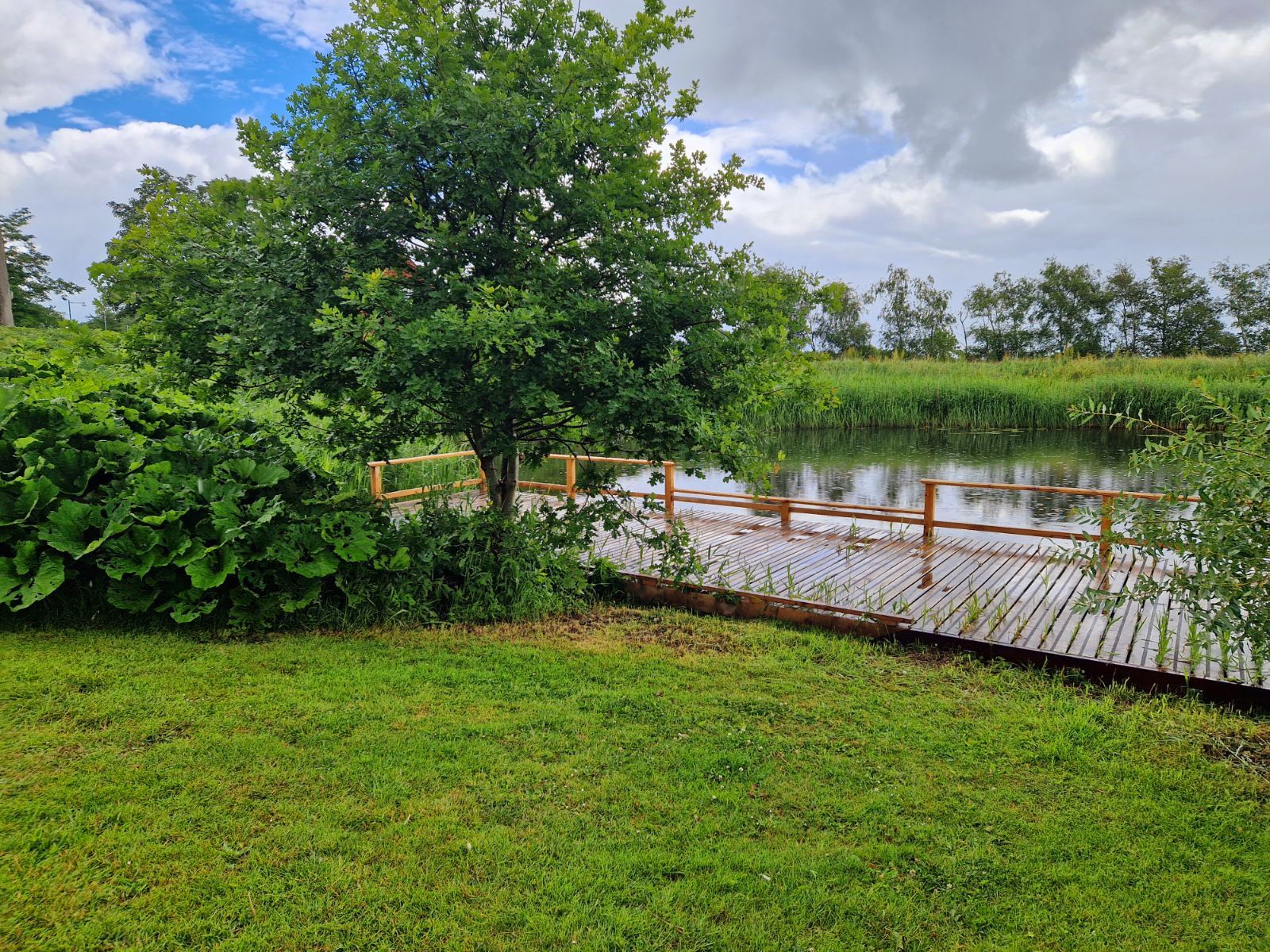 Fiskeplatform i baggrunden med det slåede græsstykke foran