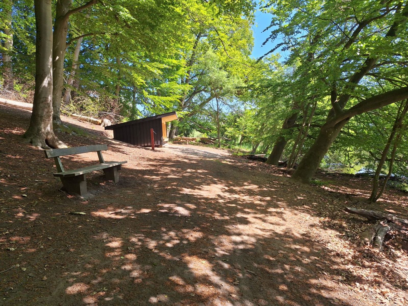 Søllerød Kirkeskov, Shelter ved Kalvemosen – miniature 10