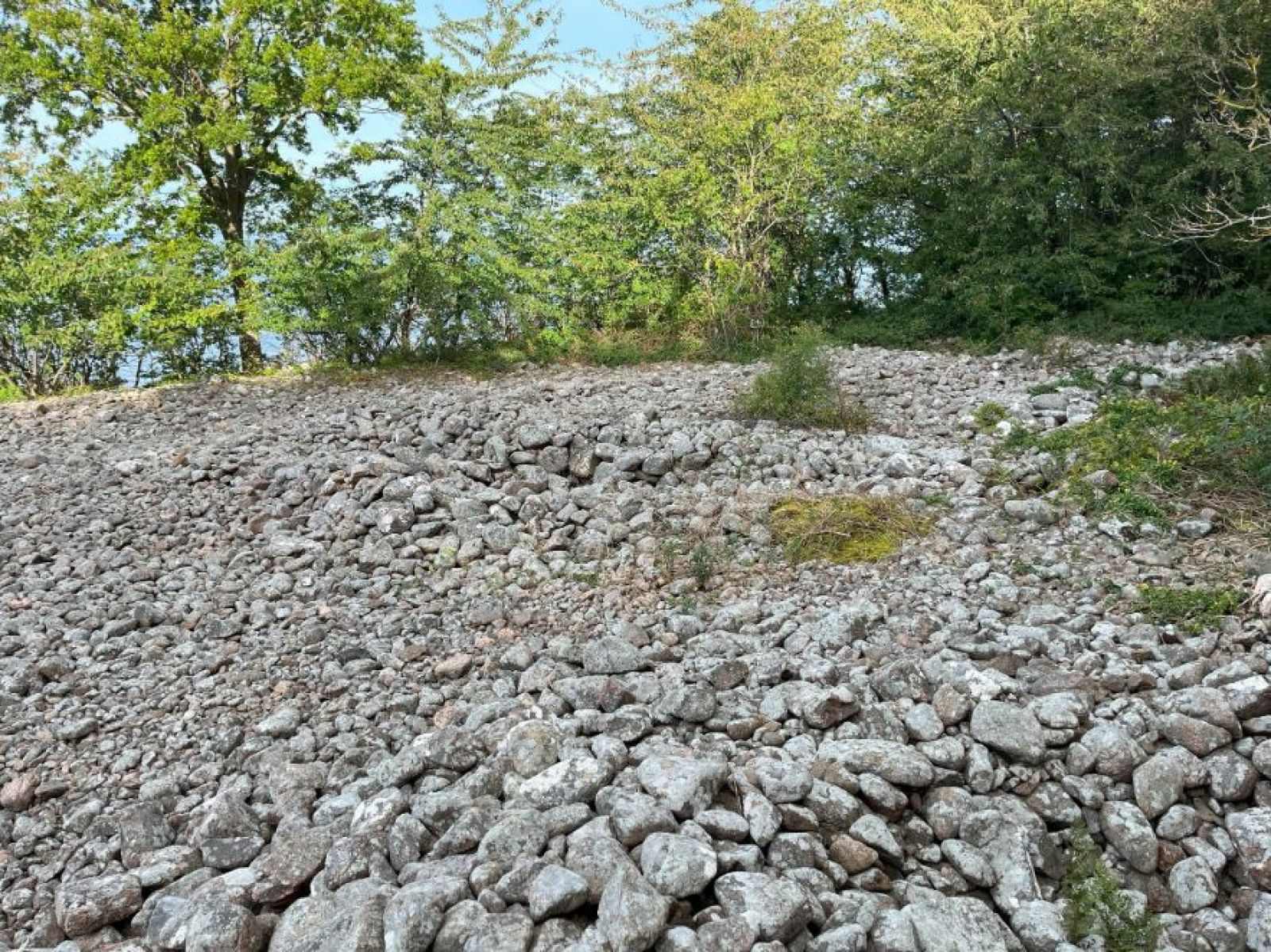 Kraterrøser