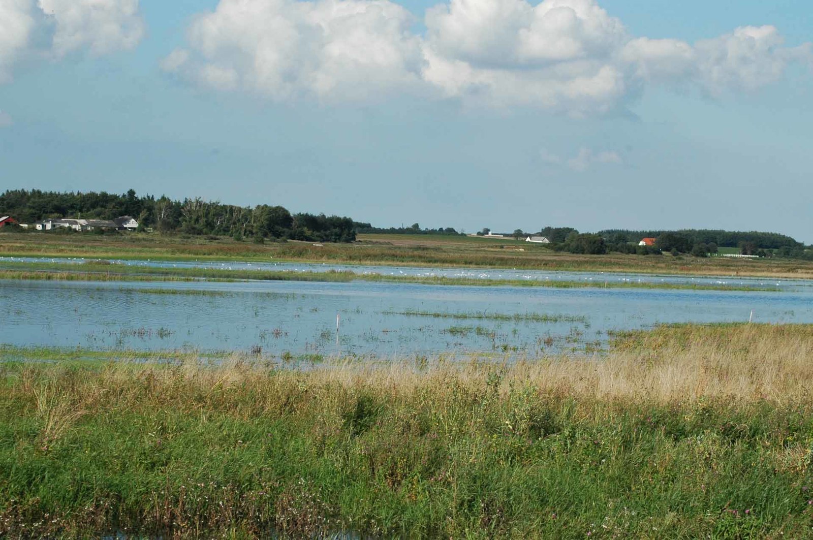 Vilsted Sø, bålplads, shelter in Denmark