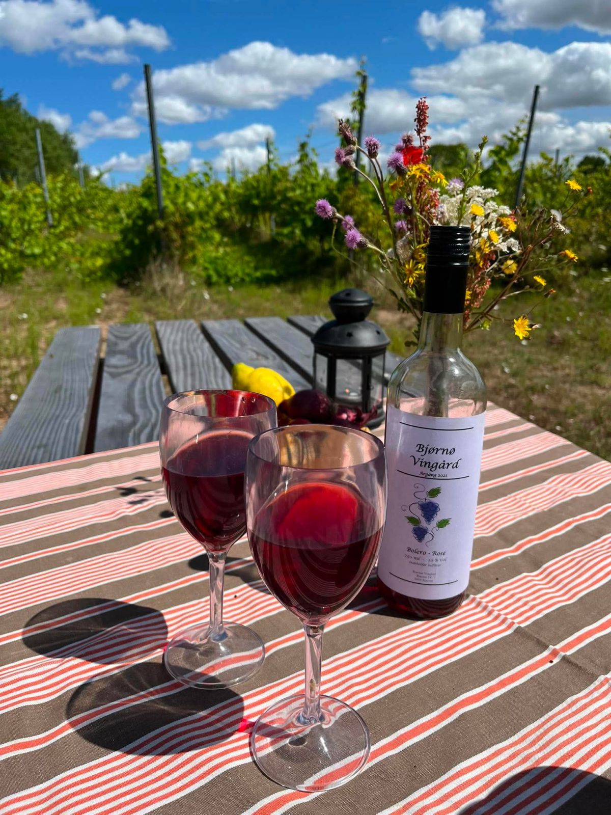 Shelterstemning