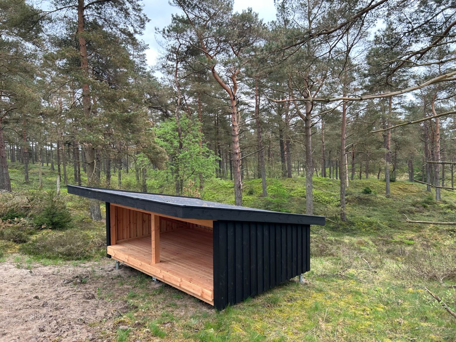 Gludsted Plantage, Den Skæve Bane - shelter 1 – miniature 2